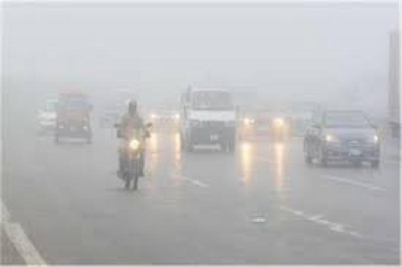 كيفية القيادة أثناء الشبورة وهطول الأمطار... نصائح وإرشادات من المرور