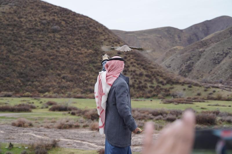 نادي الصقور 