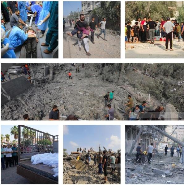 عاجل | الصحة الفلسطينية: ارتفاع عدد ضحايا العدوان على غزة لـ 11240 شهيدا