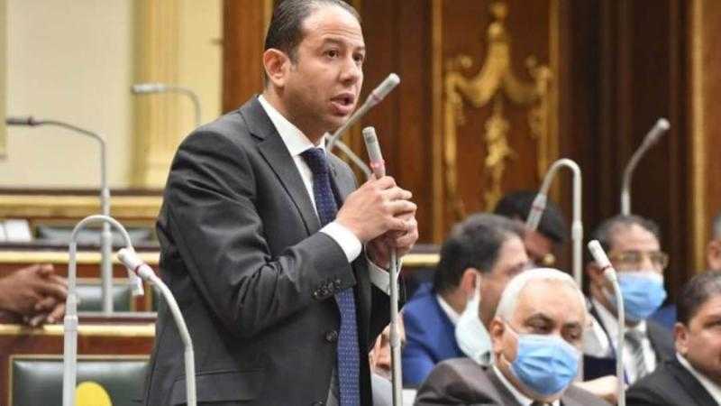 حسن عمار يطالب بخطة فعالة لزيادة استثمارات المصريين بالخارج