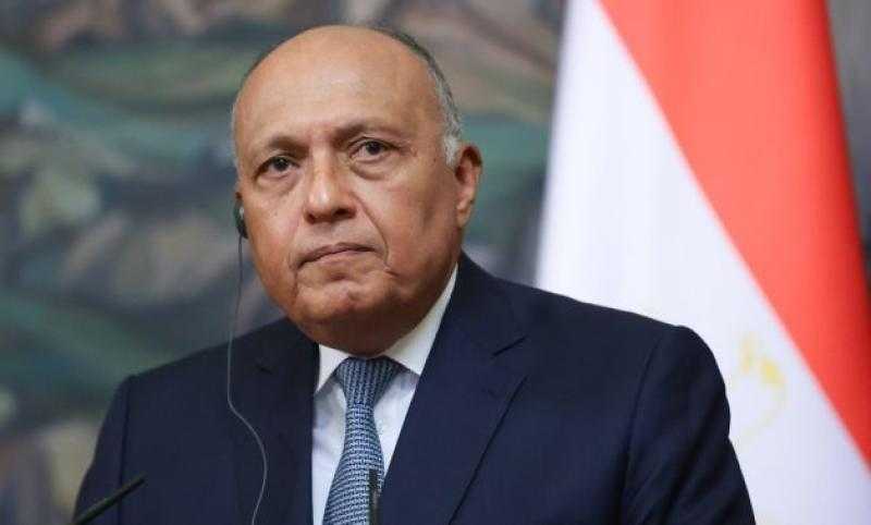 وزير الخارجية: مصر ترفض تصفية القضية الفلسطينية على حساب دول الجوار