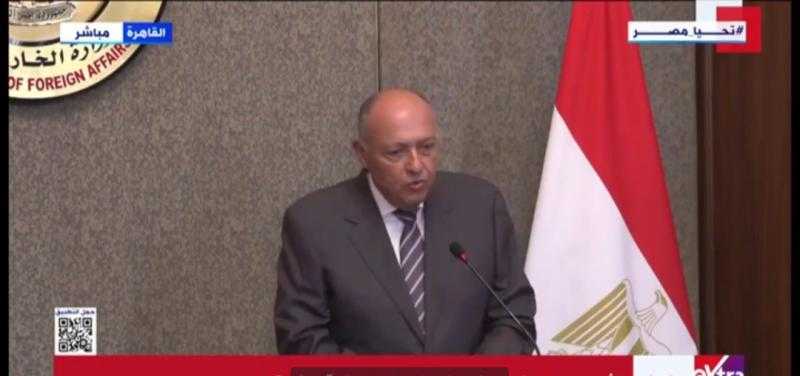 شكري: العلاقات المصرية الأيرلندية مبنية على الصداقة والاهتمام المتبادل