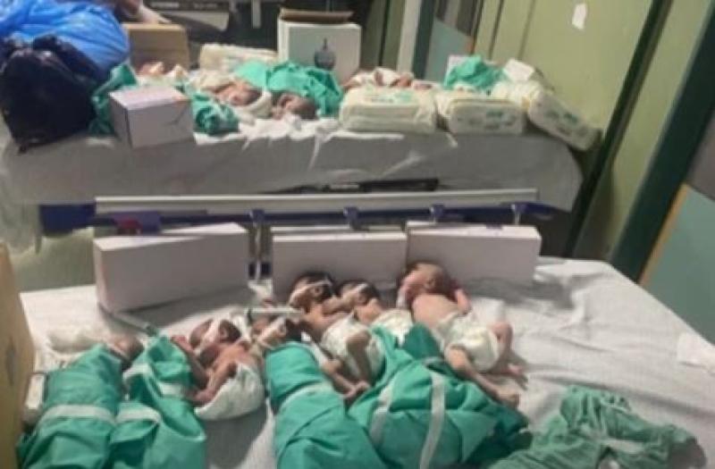 توجيه عاجل من السيسي بشأن استقبال الأطفال حديثي الولادة من قطاع غزة