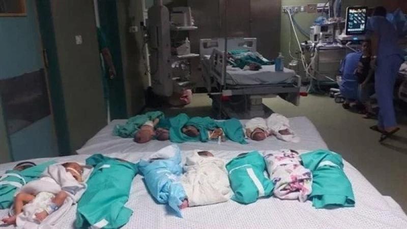 مدير مجمع الشفاء الطبى بغزة: وفاة ثلاثة أطفال «خدج» فى المستشفى