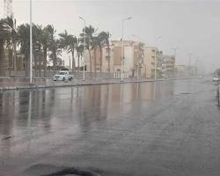 طقس ربيعي ممتع في مصر اليوم الجمعة