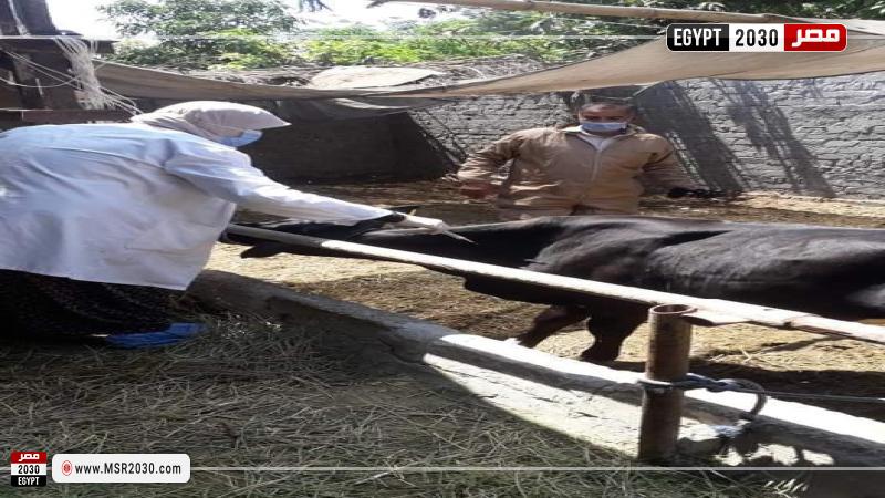 جانب من المتابعة