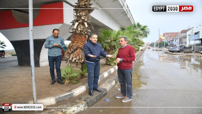 محافظ الغربية