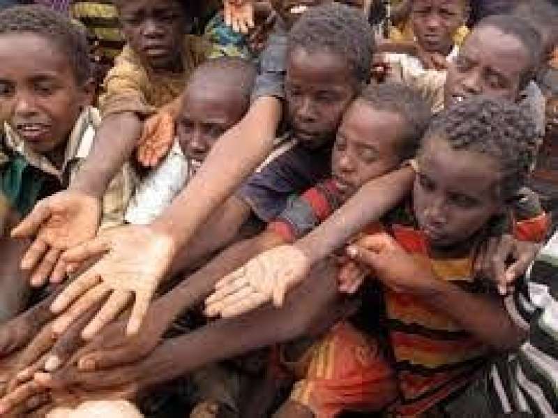صورة ارشيفة 