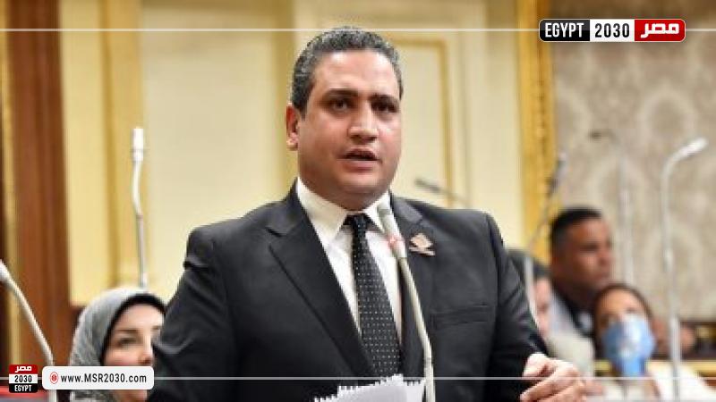 نائب تنسيقية شباب الأحزاب والسياسيين