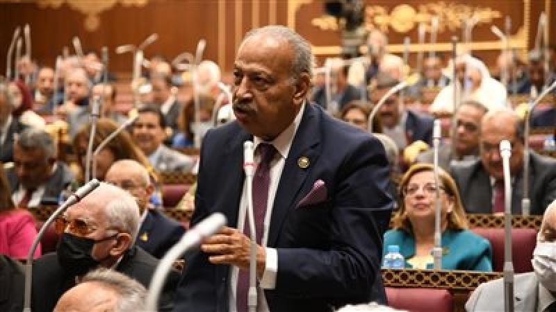  النائب هاني العسال