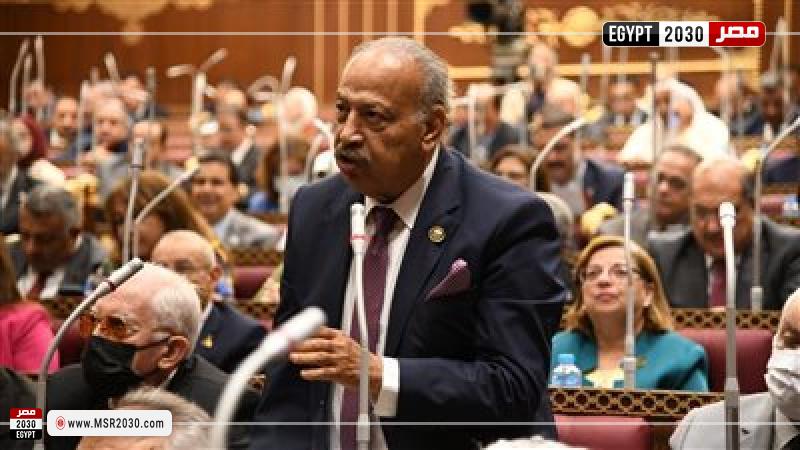 النائب هاني العسال
