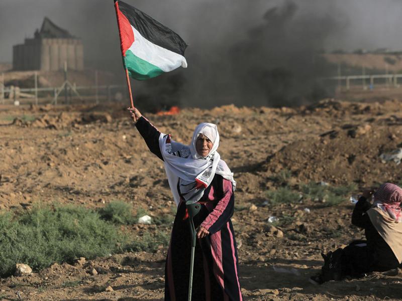 فلسطين-ارشيفية