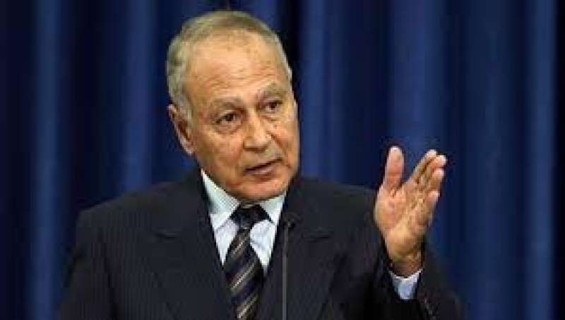 احمد ابو الغيط