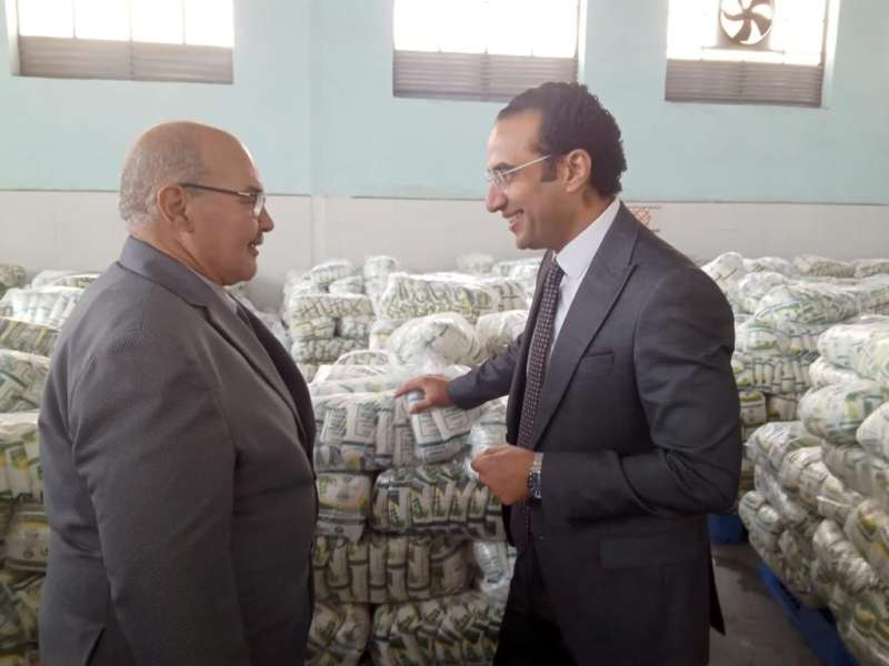 مصر 2030
