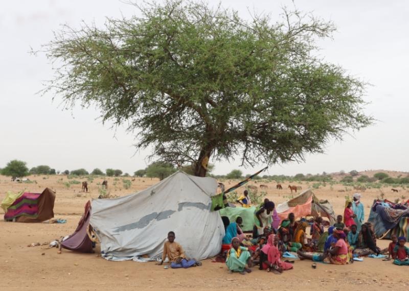 لاجئو السودان في تشاد