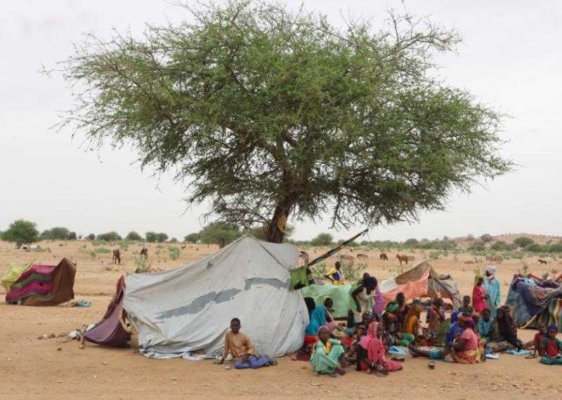 وسط تدفق لاجئي السودان.. أزمة الجوع تهدد تشاد مع تعثر تمويل المساعدات الغذائية