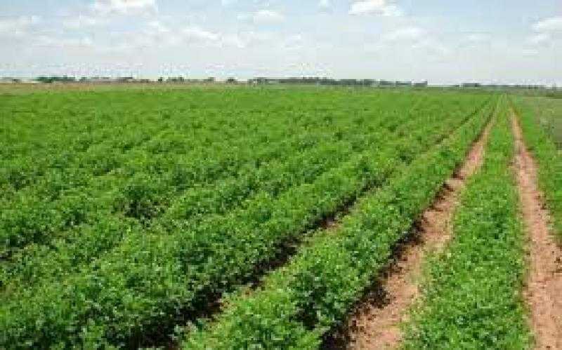 بشرى سارة بشأن مخالفات البناء خارج الحيز العمراني
