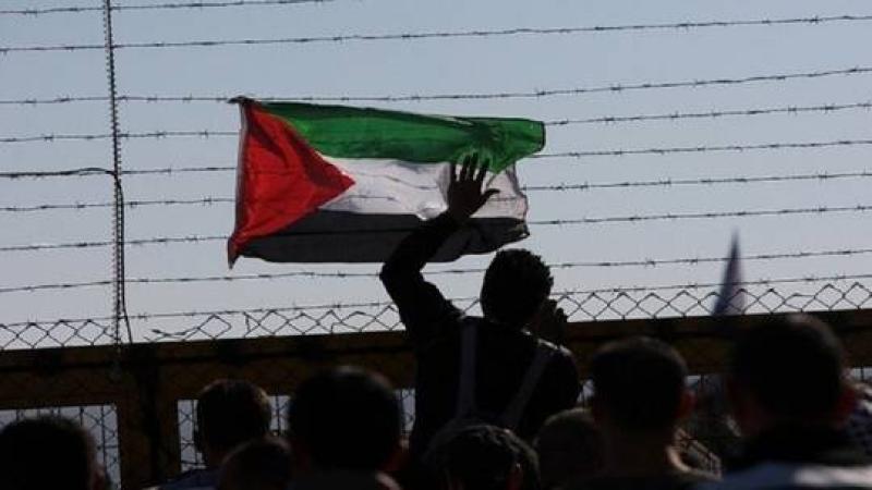 فلسطين 