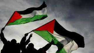 أستاذ علاقات دولية: مواقف مصر لدعم فلسطين مشرفة على مدار التاريخ.. «فيديو»