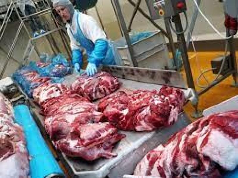 دراسة: حمض الفاكسينيك في اللحوم والحليب قد يساعد في علاج السرطان