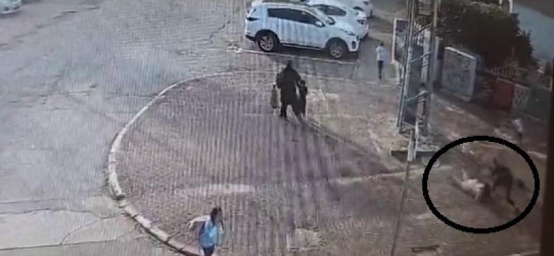 استشهاد سيدة فلسطينية حامل طعنا 