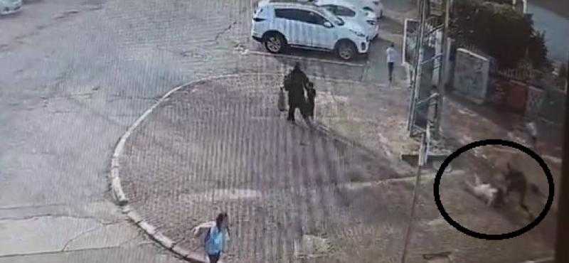 فيديو.. استشهاد سيدة حامل بالطعن على يد مستوطن باللد