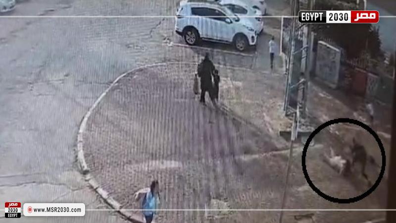 استشهاد سيدة فلسطينية حامل طعنا 