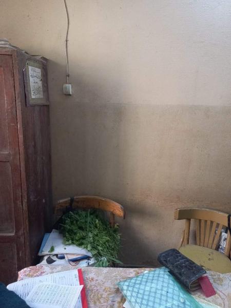 بسبب ”الملوخية”.. إحالة مدير مدرسة للشؤون القانونية