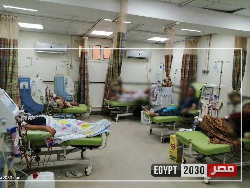 محافظ المنيا: وحدة للغسيل الكلوي بالحميات وإضافة 76 سريرا للرعاية في 4 مستشفيات