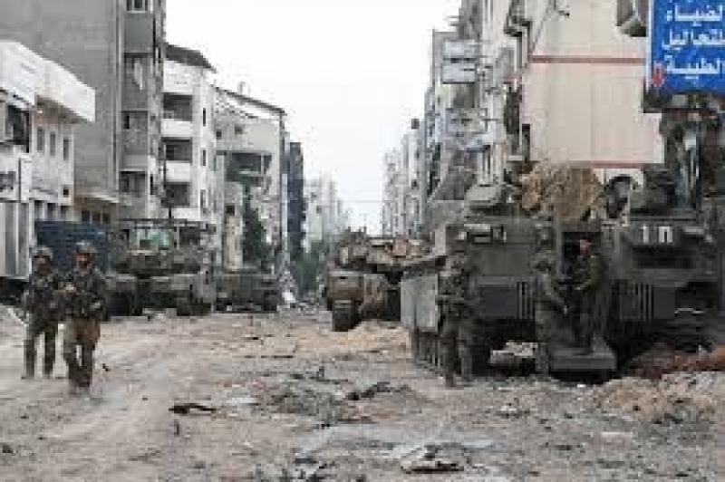 صورة ارشيفة 