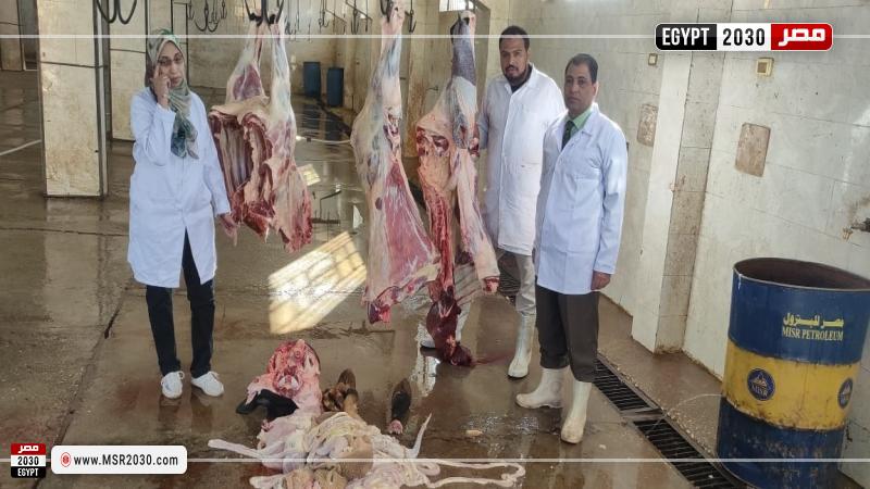 جانب من الحملات والمتابعة
