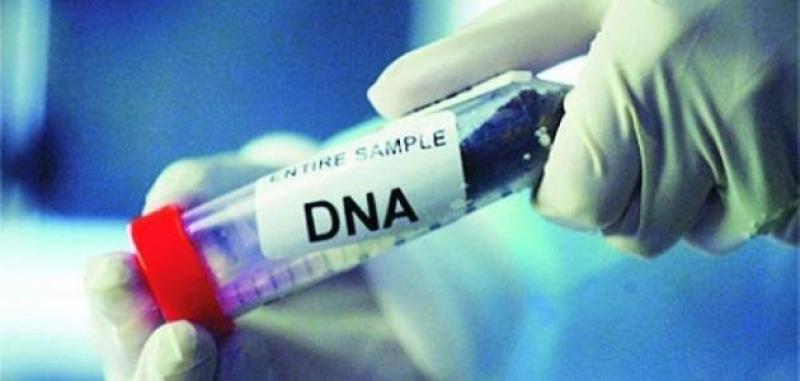 داعية إسلامية تكشف مفاجأة بشأن تحليل الـ DNA وعلاقته بالنسب