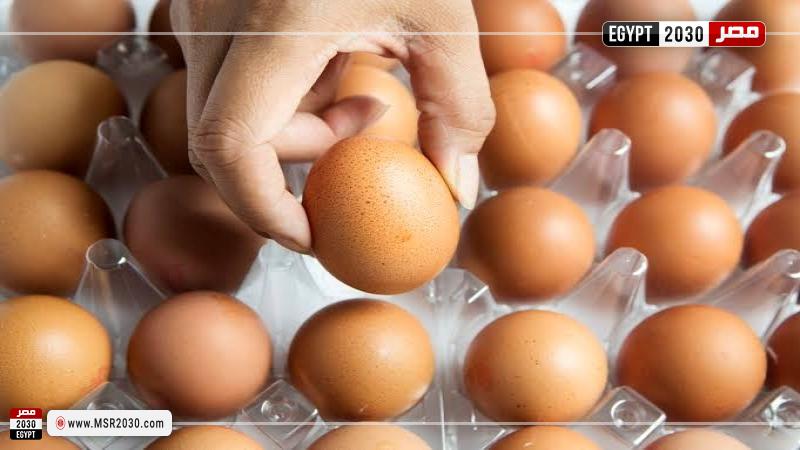 أسعار البيض اليوم