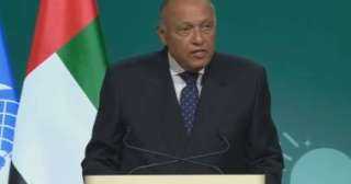 شكري يبحث وقف إطلاق النار في غزة مع مسؤولين أمريكيين