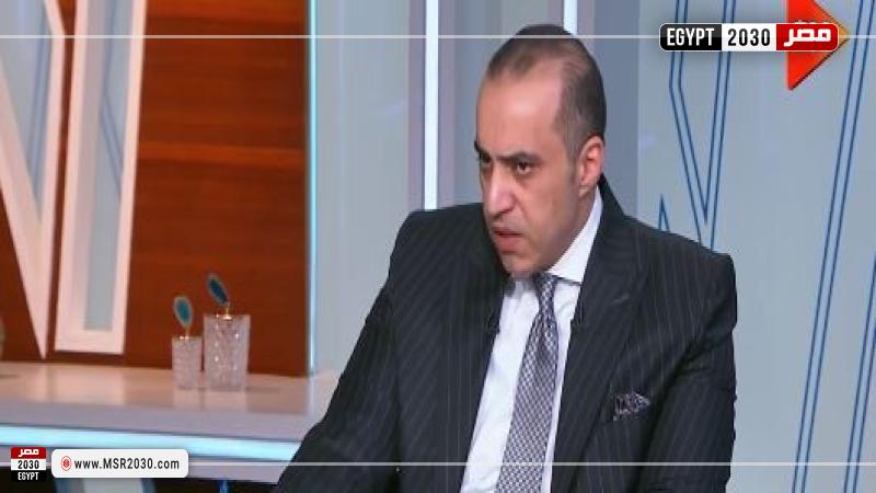المستشار محمود فوزي