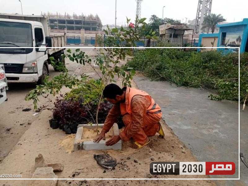 تهذيب المسطحات الخضراء داخل المدارس وخارجها استعدادًا للانتخابات الرئاسية بالإسماعيلية