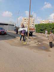 تأمين وزرع أعمدة إنارة بحي الزهور بالإسماعيلية استجابة لشكوى أحد المواطنين