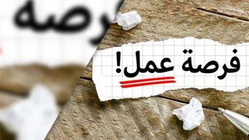 فرص عمل للشباب 