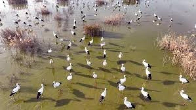 مجلس الأمن يدين بشدة العنف في واراب بجنوب السودان ومنطقة أبيي