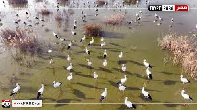 صورة ارشيفة