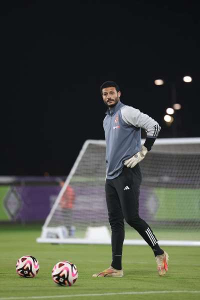 محمد الشناوي 