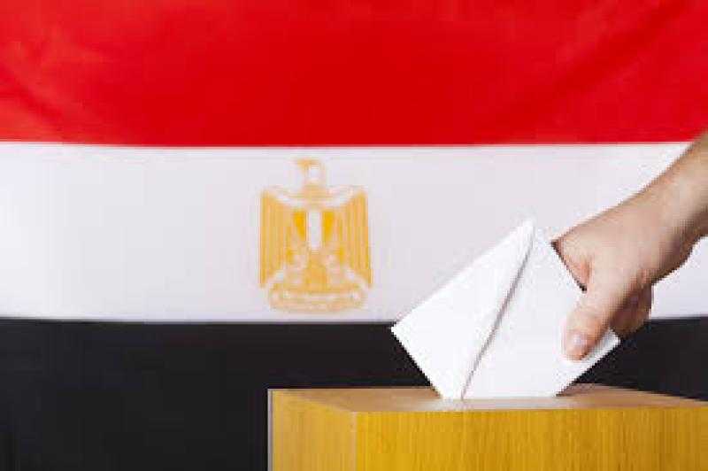 أستاذ علوم سياسية: دول العالم كانت تضع المشهد الانتخابي في مصر نصب أعينها