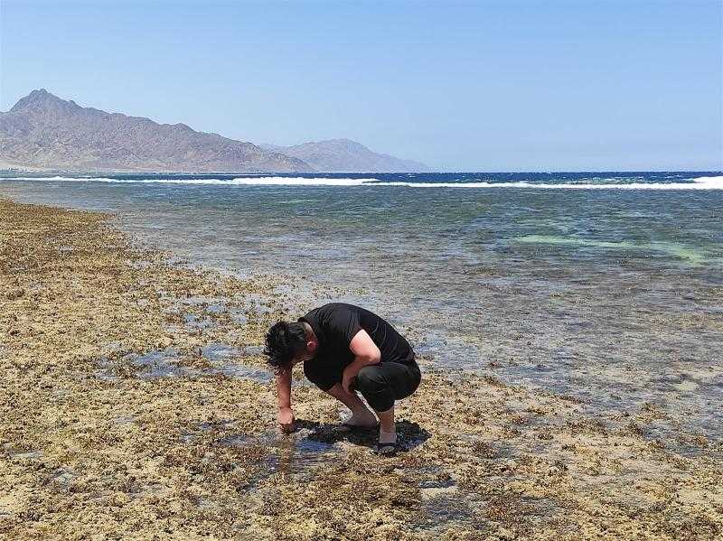 انتقال فرق التحقيق لموقع إسقاط الجسم الطائر قبالة سواحل دهب