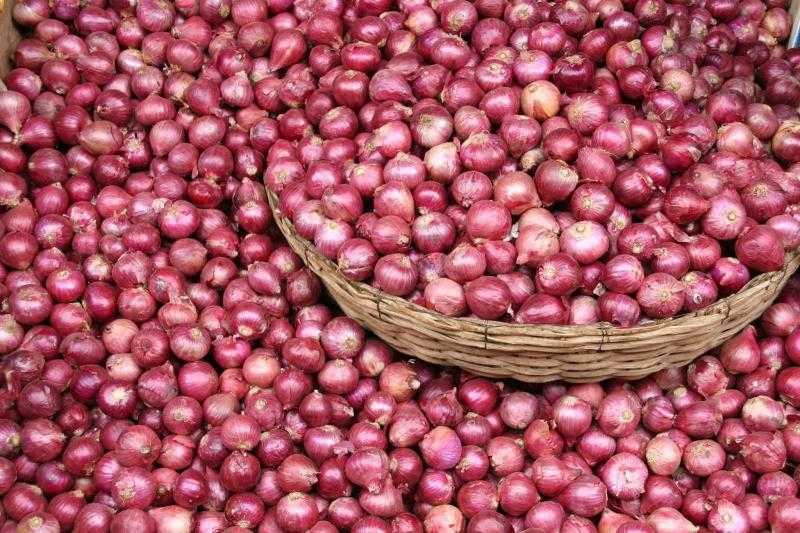 شاهد.. الزراعة تكشف عن مفاجآت في أزمة البصل