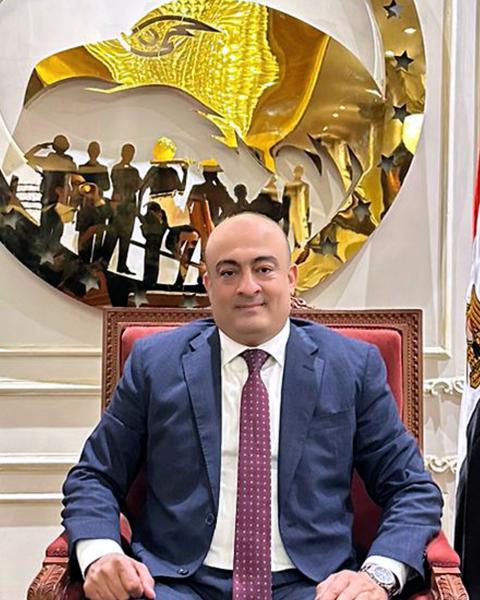 الدكتور مسعد أبو طالب 