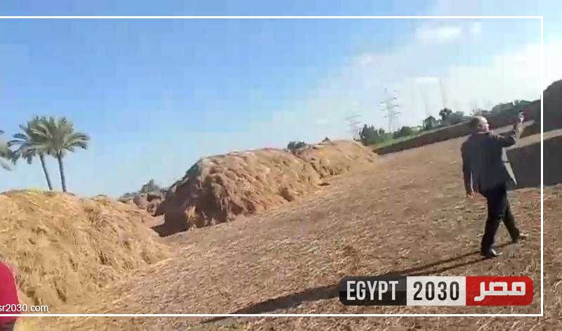 ضبط 250 طن بصل تم تخزينهم وإخفاؤهم بغرض الاحتكار والمضاربة بالأسعار بفارسكور