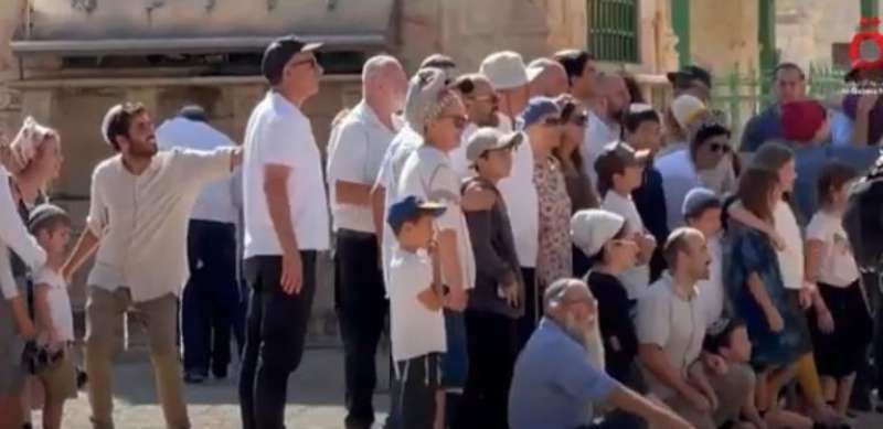 صورة من مقطع الفيديو