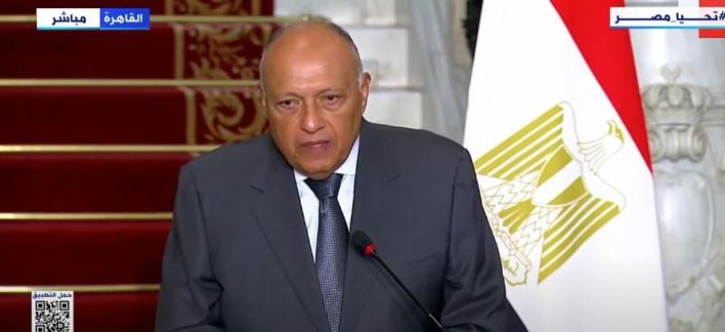 شكري يطالب مجلس الأمن بسرعة التصديق على قرار إدخال المساعدات لغزة