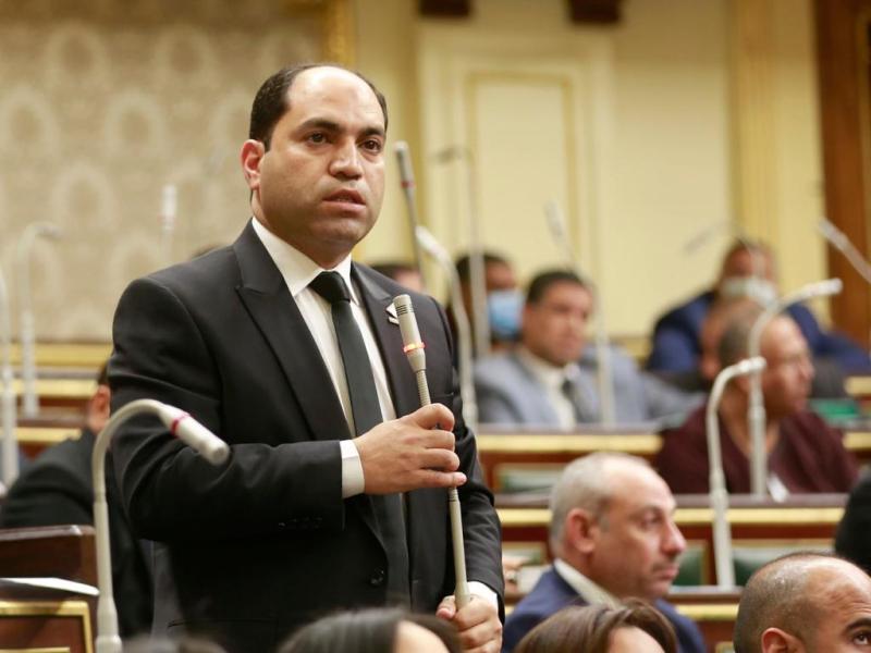 النائب عمرو درويش