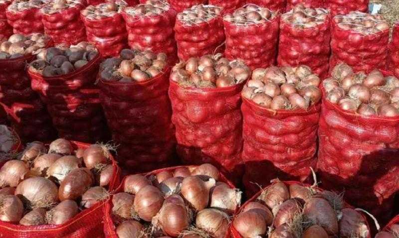 البصل يبدأ من 20 جنيها.. تعرف على أسعار الخضروات والفاكهة اليوم السبت